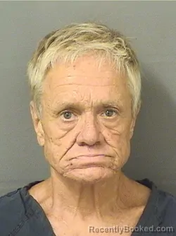 Mugshot of ALSTON ROBERT ALTO booked in Palm Beach County, Florida on June 9, 2026