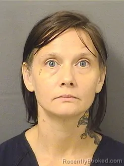 Mugshot of ERICA ELIZABETH GRAY booked in Palm Beach County, Florida on June 10, 2026