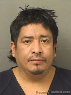 Mugshot of LUIS ANTONIO GUTIERREZMARTIN booked in Palm Beach County, Florida on June 10, 2026