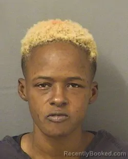 Mugshot of CHRYSTAL SHUNNIQUE WINN booked in Palm Beach County, Florida on June 10, 2026
