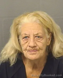 Mugshot of LORRAINE CASTELLANO booked in Palm Beach County, Florida on June 10, 2026