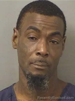 Mugshot of DURAN ESTIMA booked in Palm Beach County, Florida on June 10, 2026