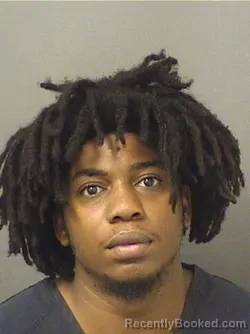Mugshot of WINSTON LEE JONES booked in Palm Beach County, Florida on June 10, 2026