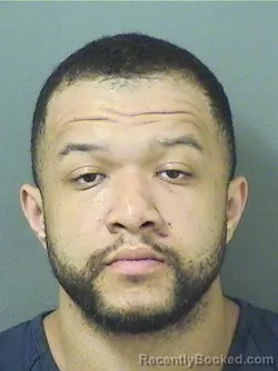 Booking photo from Palm Beach County, Florida