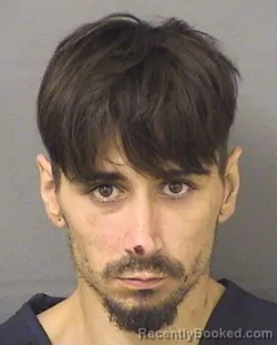 Mugshot of PETER JOSEPH IACOBELLI booked in Palm Beach County, Florida on June 10, 2026