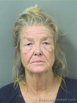 Mugshot of PAMELA SUE LAMB booked in Palm Beach County, Florida on June 10, 2026
