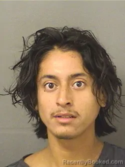 Mugshot of JUAN FERNANDO MENDOZA booked in Palm Beach County, Florida on June 11, 2026