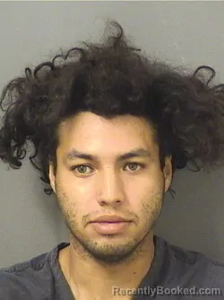 Mugshot of NERY RAUL ALVAREZ booked in Palm Beach County, Florida on June 11, 2026