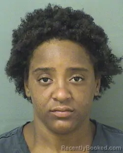 Mugshot of CAMILLE PATRICIA PERDOMO booked in Palm Beach County, Florida on June 11, 2026