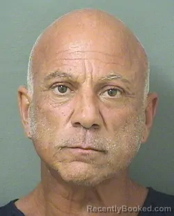 Mugshot of MARIO RUGGIERO booked in Palm Beach County, Florida on June 12, 2026