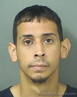 Mugshot of JOSE ANDRES GALLEGOVEGA booked in Palm Beach County, Florida on June 12, 2026