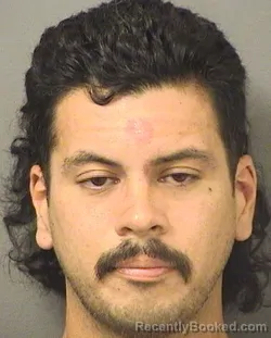 Mugshot of ANDREW JACOB ARCE booked in Palm Beach County, Florida on June 12, 2026