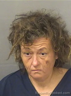 Mugshot of HEATHER B NUNEZ booked in Palm Beach County, Florida on June 13, 2026