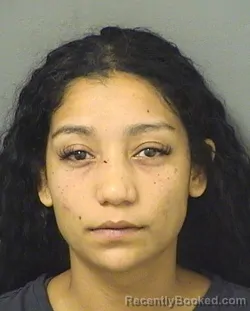 Mugshot of SAMANTHA M LEMESSY booked in Palm Beach County, Florida on June 14, 2026