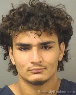 Mugshot of GIANNI JULIO DIAZ booked in Palm Beach County, Florida on June 14, 2026