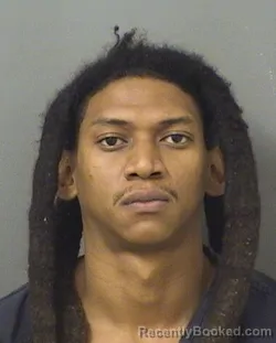 Mugshot of ELLIJAH ISAIAH CHANG booked in Palm Beach County, Florida on June 14, 2026