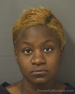 Mugshot of DENISHA NOEL SMITH booked in Palm Beach County, Florida on June 14, 2026