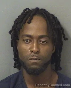 Mugshot of NELSEN ALFRED booked in Palm Beach County, Florida on June 14, 2026