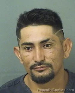 Mugshot of RONY MAURICIO VASQUEZAGUILAR booked in Palm Beach County, Florida on June 14, 2026