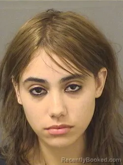 Mugshot of VALENTINA FARINEZ booked in Palm Beach County, Florida on June 14, 2026