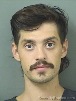 Mugshot of LANE GARRETT RAMSEY booked in Palm Beach County, Florida on June 15, 2026
