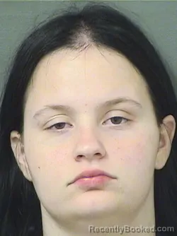 Mugshot of ZOEY MORRIS booked in Palm Beach County, Florida on June 15, 2026