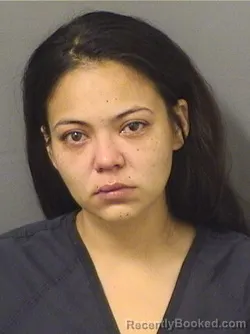 Mugshot of ALEXIS CHANTEL GALLINOTO booked in Palm Beach County, Florida on June 15, 2026
