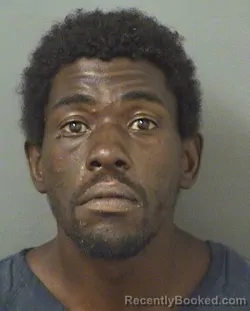 Mugshot of STEDMEN DARNEL NELSON booked in Palm Beach County, Florida on June 15, 2026