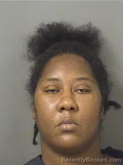 Mugshot of PAM FOX CARR booked in Palm Beach County, Florida on June 20, 2026