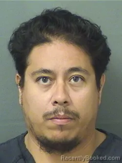Mugshot of ANGEL ALEXIS SERRANO booked in Palm Beach County, Florida on June 20, 2026