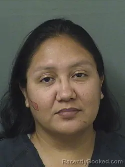 Mugshot of VIRGINIA BOTELLO booked in Palm Beach County, Florida on June 21, 2026