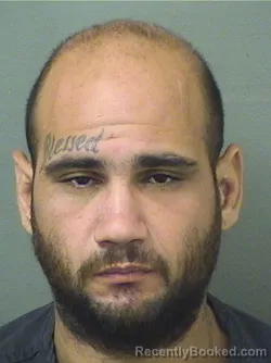 Mugshot of MARK AFANADOR booked in Palm Beach County, Florida on June 21, 2026