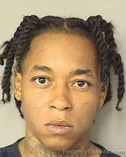 Mugshot of DAMETRIA ALEXANDRA GIBSON booked in Palm Beach County, Florida on June 21, 2026