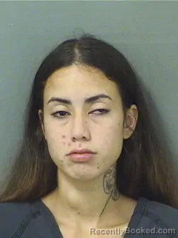Mugshot of NOELIA JIMENA FRANCESHINICOLMENERO booked in Palm Beach County, Florida on June 22, 2026