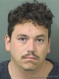 Mugshot of GAVIN PRICE ANAYA booked in Palm Beach County, Florida on June 23, 2026