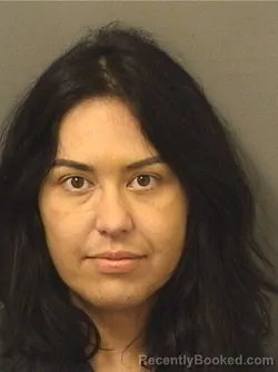 Mugshot of NINA BRISSON booked in Palm Beach County, Florida on June 24, 2026