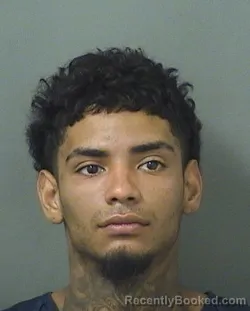 Mugshot of CARLOS BRITOBOLANOS booked in Palm Beach County, Florida on June 24, 2026