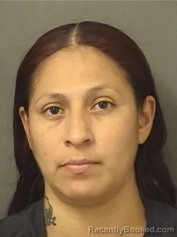 Mugshot of CYNTHIA GUADAL CARDENASGAMOA booked in Palm Beach County, Florida on June 24, 2026