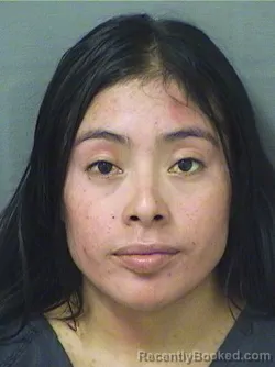 Mugshot of EULALIA DOMINGOSIMON booked in Palm Beach County, Florida on June 25, 2026