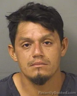 Mugshot of MEFI BOSED REYESRODRIGUEZ booked in Palm Beach County, Florida on June 26, 2026