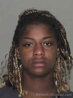 Mugshot of TEIONNA T SMITH booked in Palm Beach County, Florida on June 26, 2026