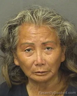 Mugshot of LI HUA STEVENS booked in Palm Beach County, Florida on June 26, 2026