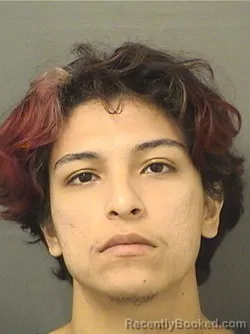 Mugshot of RICARDO HERNANDEZ booked in Palm Beach County, Florida on June 27, 2026