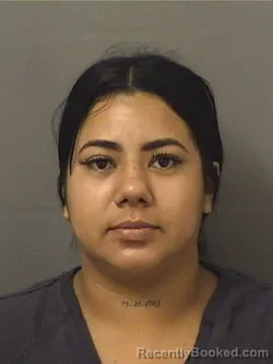 Mugshot of MARIBET DURANGARCIA booked in Palm Beach County, Florida on June 28, 2026