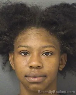 Mugshot of DOYKERIA PATREECE WILSON booked in Palm Beach County, Florida on June 28, 2026