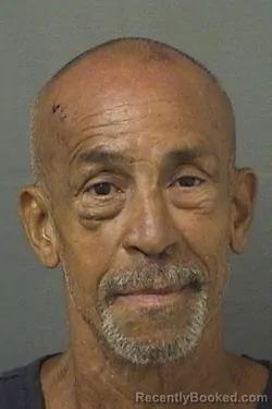 Mugshot of ABRAHAM ROMAN booked in Palm Beach County, Florida on June 28, 2026