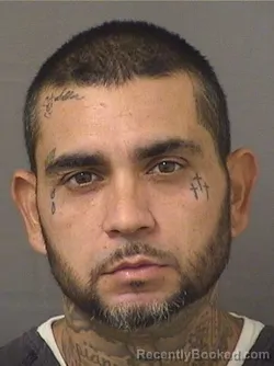 Mugshot of LUIS E MEJIARODRIGUEZ booked in Palm Beach County, Florida on June 29, 2026