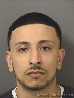 Mugshot of OMAR M ELAGAMY booked in Palm Beach County, Florida on June 29, 2026