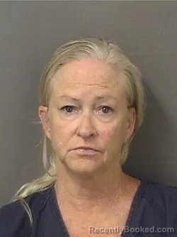 Mugshot of DIANE FRANCES AUBIN booked in Palm Beach County, Florida on June 29, 2026