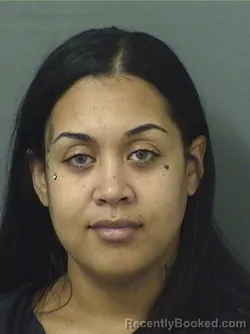 Mugshot of AMBER NICOLE HARRELL booked in Palm Beach County, Florida on June 30, 2026